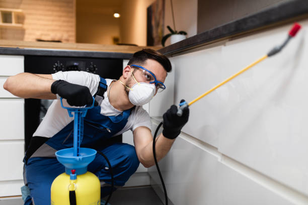 Flea Control Services in North Kingsville, OH