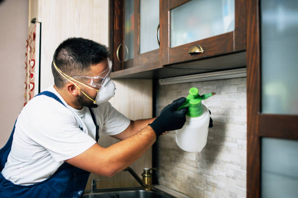 Best Affordable Pest Control Services  in North Kingsville, OH