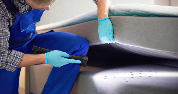 Best Commercial Pest Control Services  in North Kingsville, OH