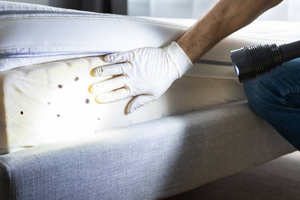 Best Exterminator Services  in North Kingsville, OH