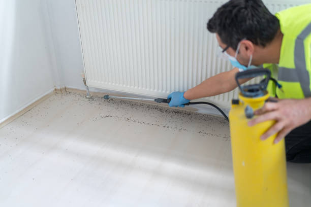 Best Flea Control Services  in North Kingsville, OH